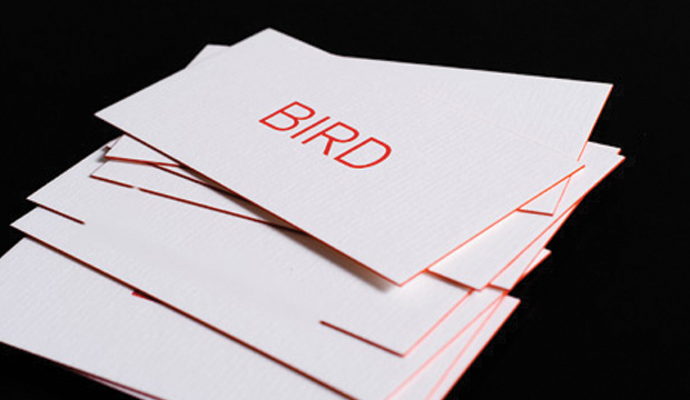 Bird-3