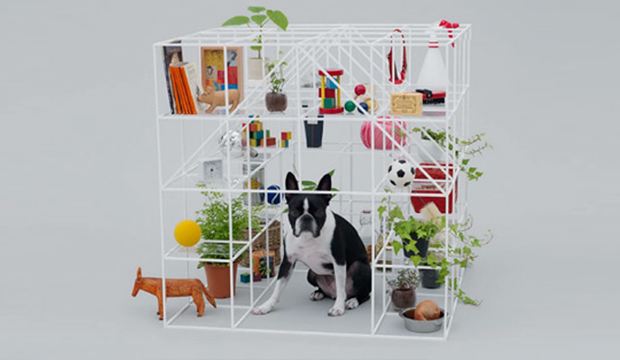 Architecture-for-dogs_1