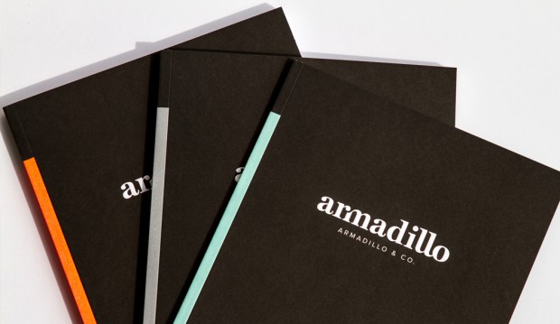 Armadillo-1